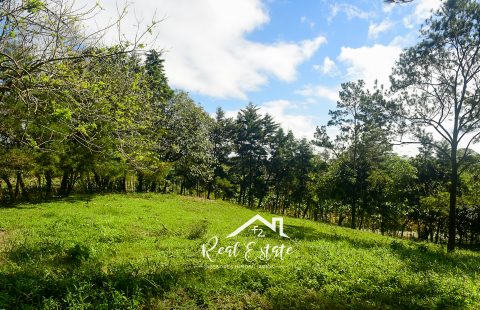 VENDIDO!!! - Maravilloso Solar 1,926.37 mt²