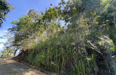 VENTA SOLAR ER 53, JARABACOA