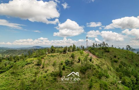 JARABACOA - VENTA LOTES TERRENOS - TOPE DE LA MONTAÑA